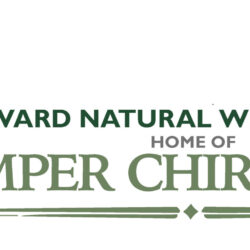 Stamper Chiropractic